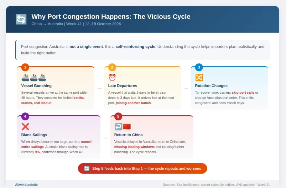 Why Port Congestion Happens The Vicious Cycle